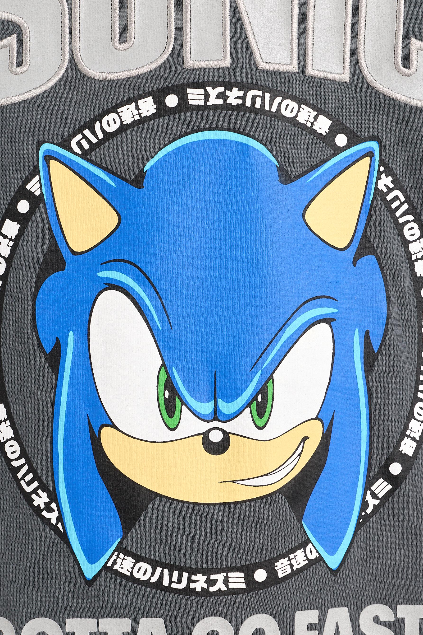 SONIC™ | SEGA color block T-shirt