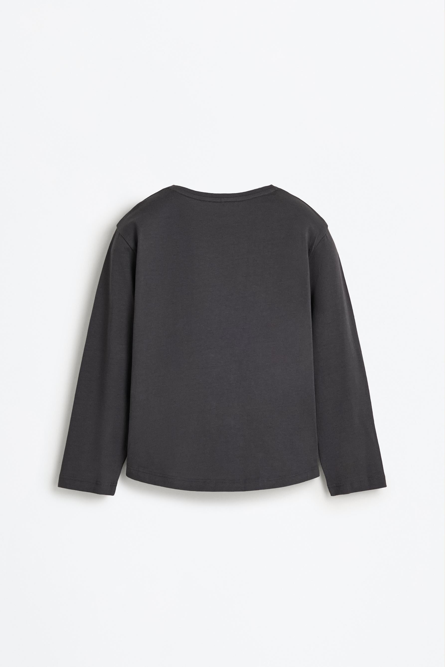 Pack of 2 plain long sleeve T-shirts