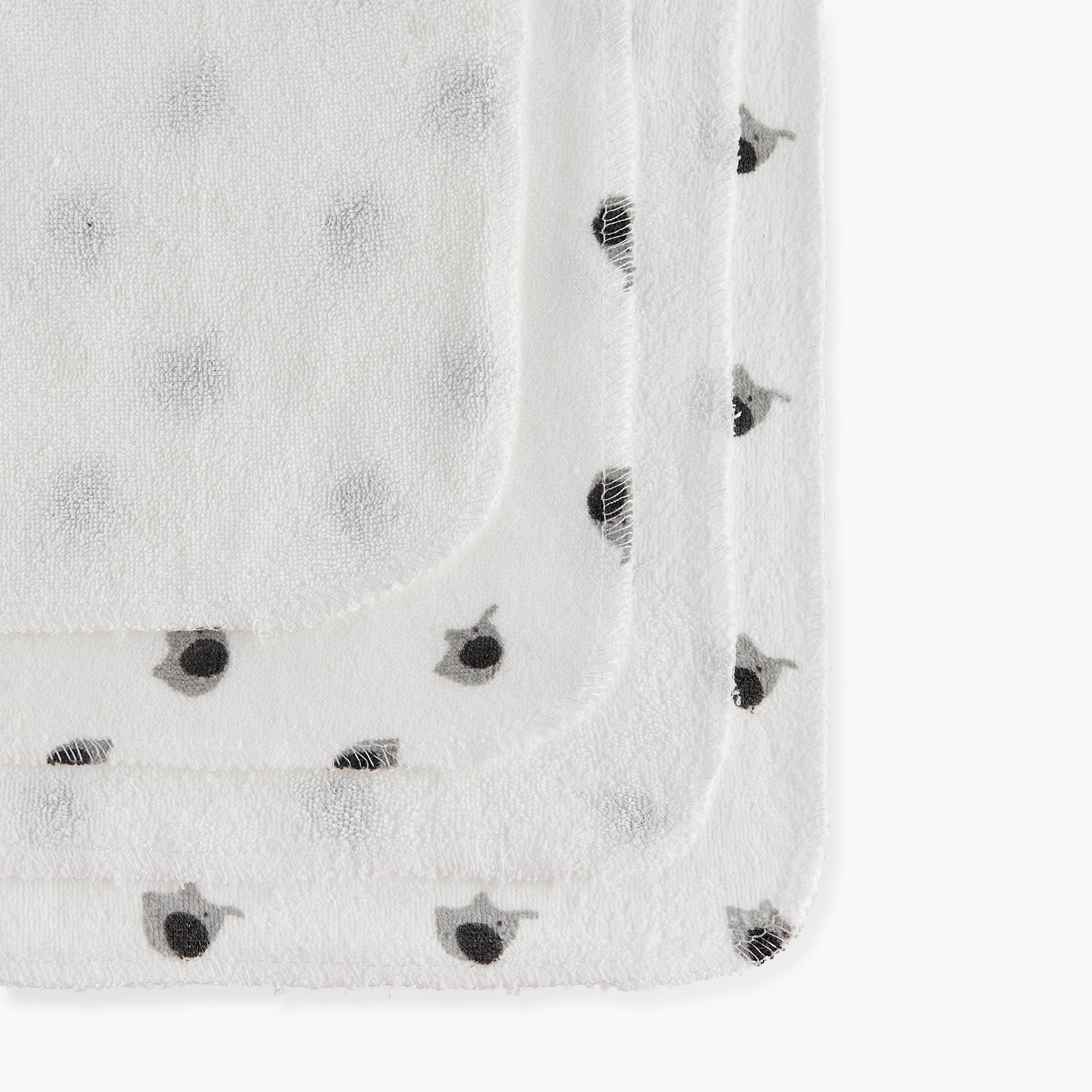 Juniors Assorted Wash Cloth - Set of 12