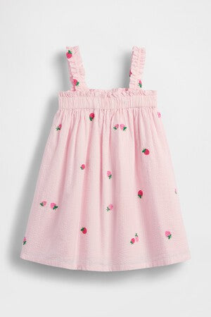 Baby & Toddler Seersucker Embroidered Dress