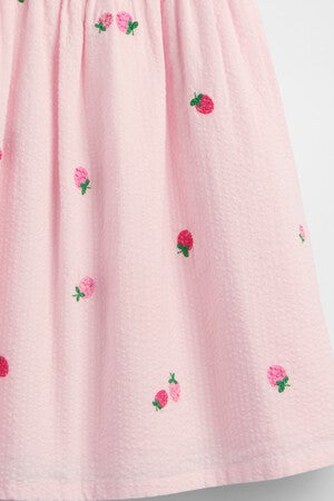 Baby & Toddler Seersucker Embroidered Dress