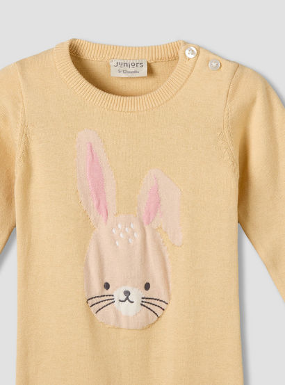 Juniors Cotton Round Neck Long Sleeves Sleepsuit with Bunny Applique-baby-girls-clothing-nightwear-sleepsuits-image-4