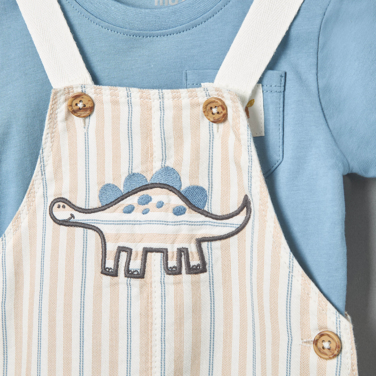 Dinosaur Applique Dungaree and T-shirt Set