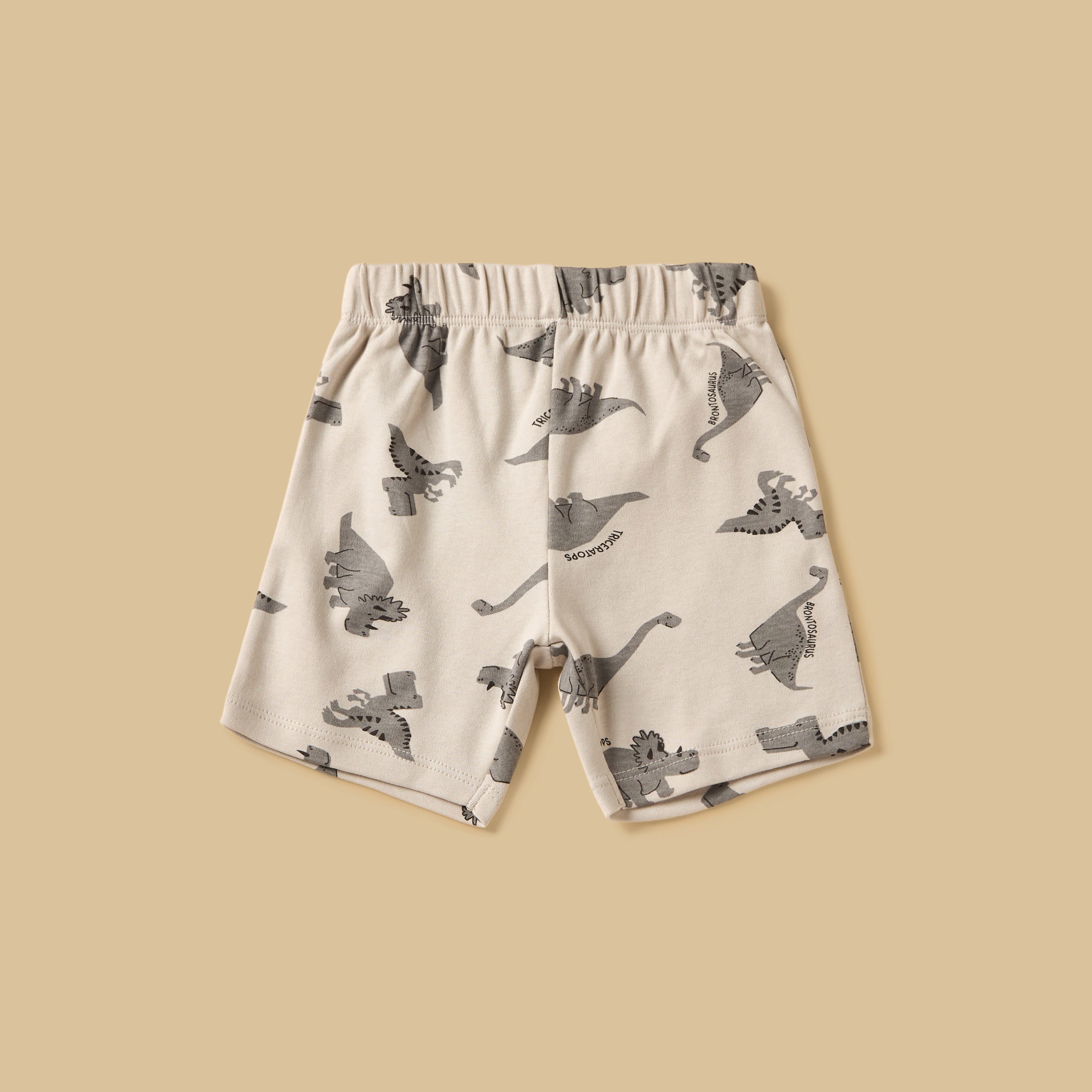 Pack of 2 - Dinosaur Print Cotton Pyjama Set