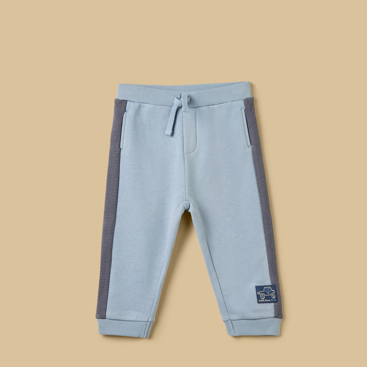 Printed Cut Sew Hoodie and Joggers Set