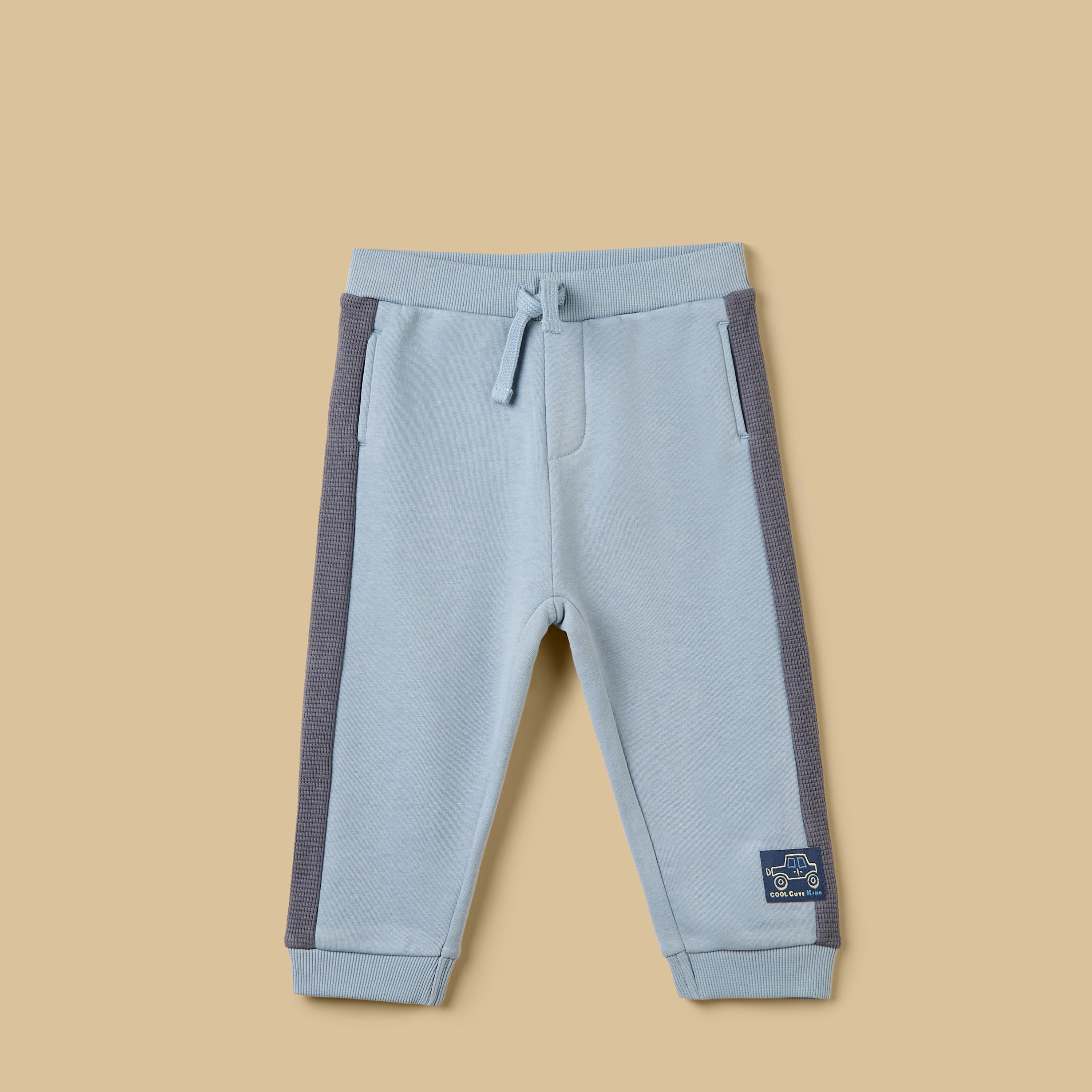 Printed Cut Sew Hoodie and Joggers Set