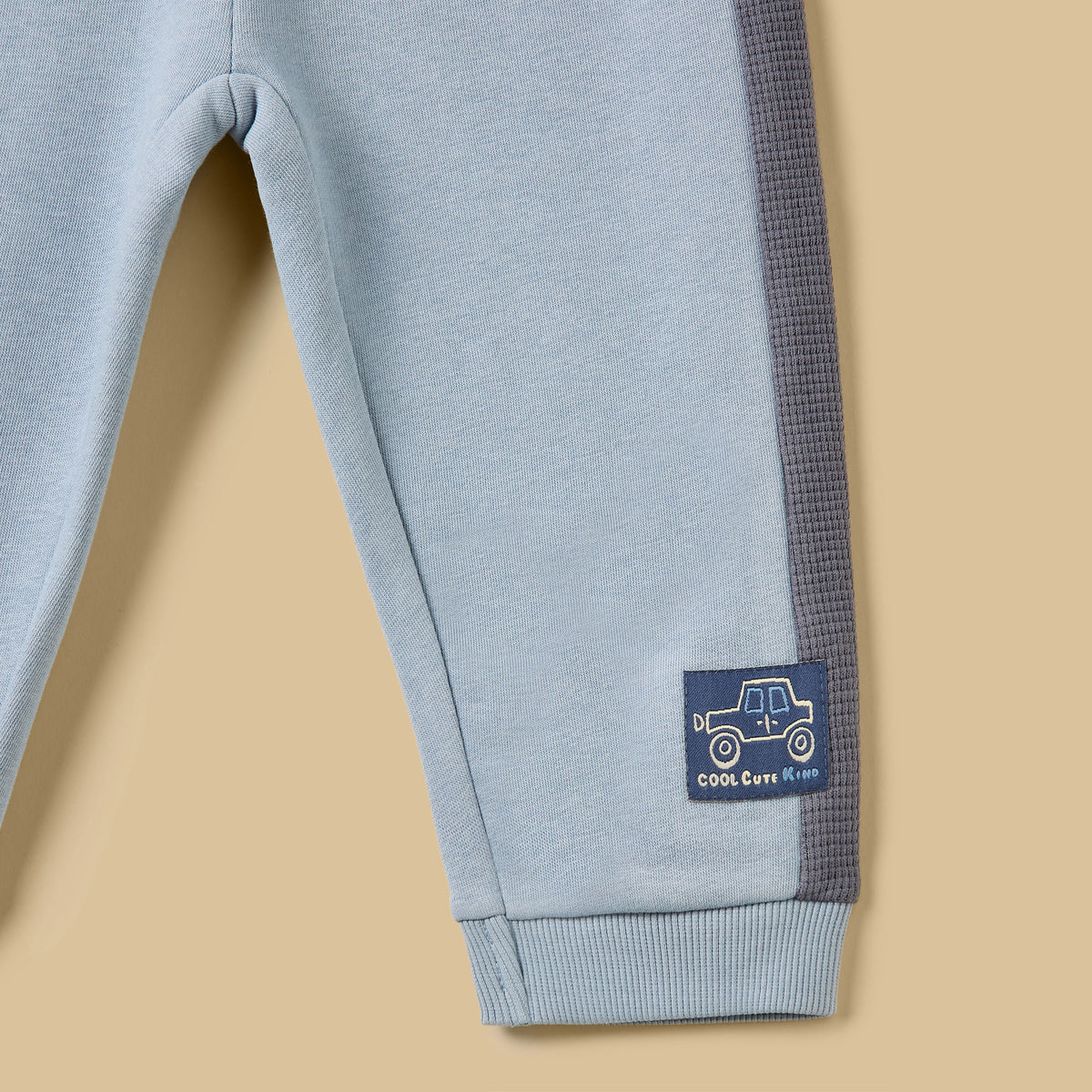 Printed Cut Sew Hoodie and Joggers Set