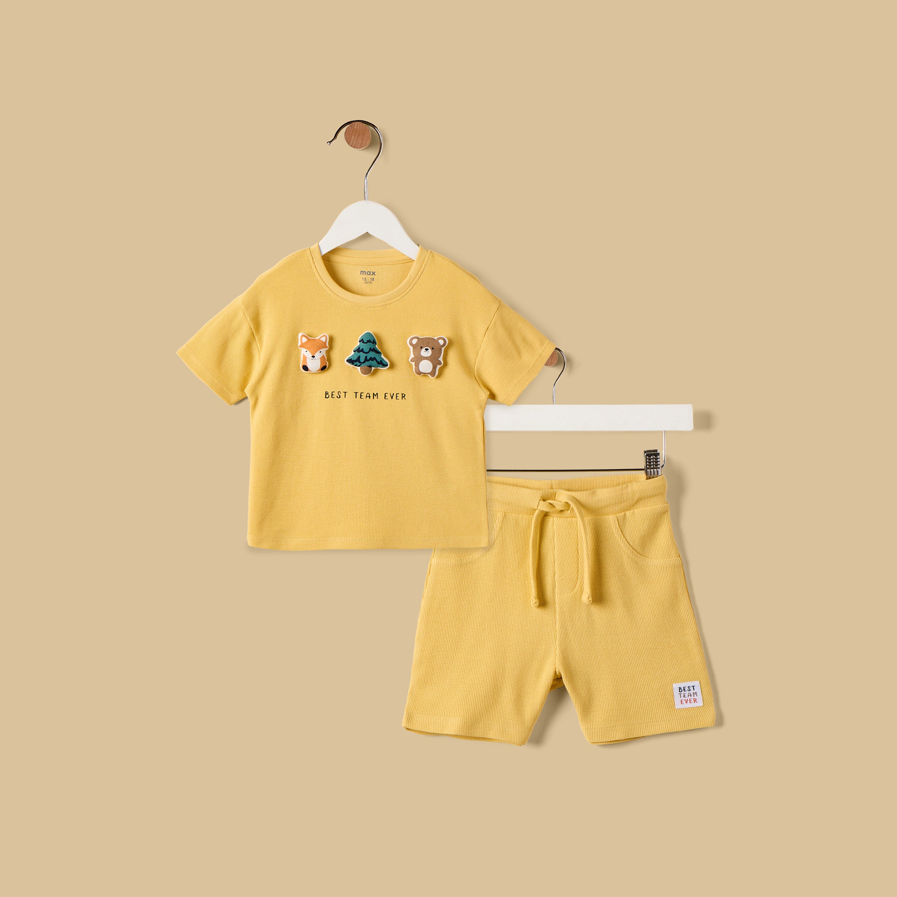 Textured 3D Applique Cotton T-shirt and Shorts Set - Yellow / 12-18 mths
