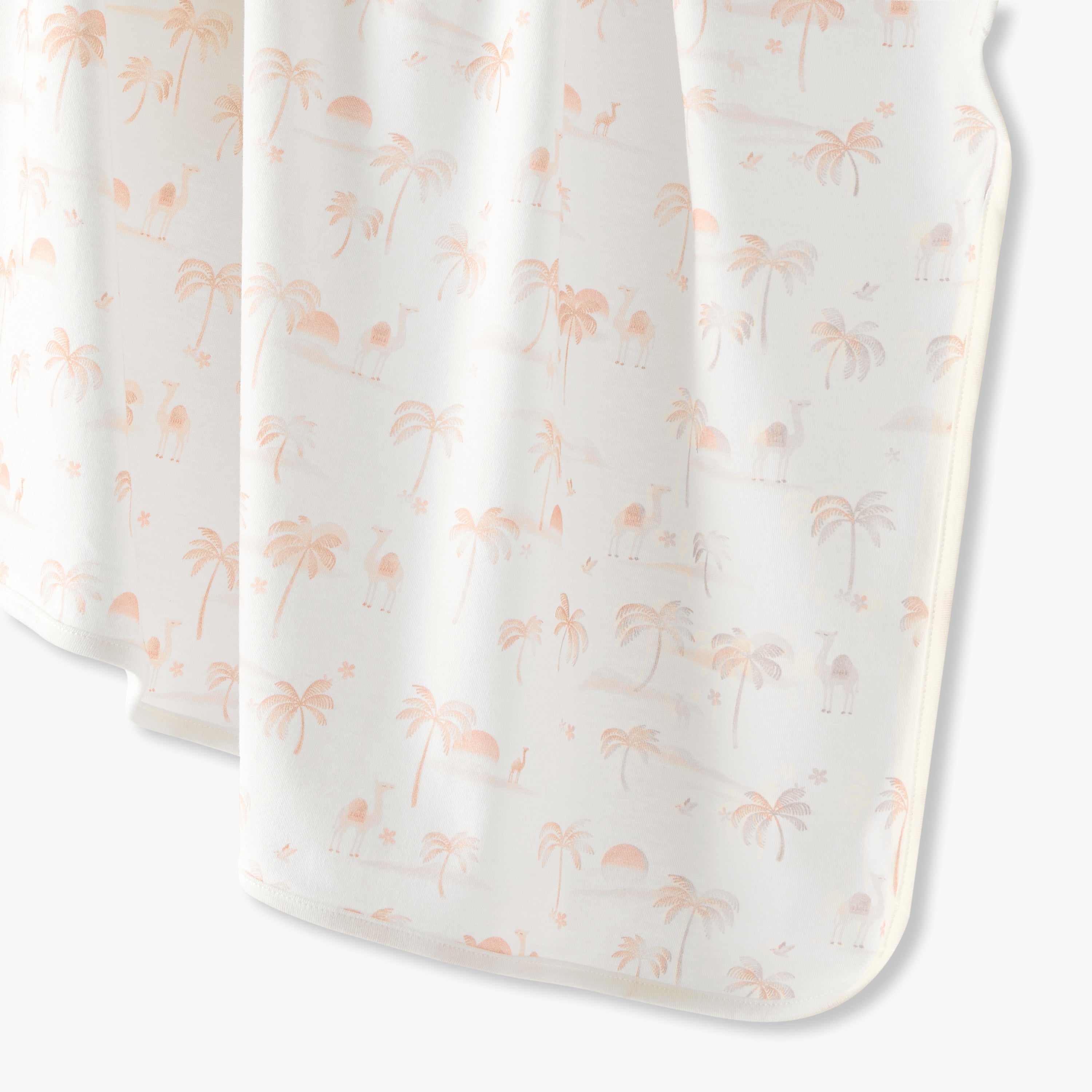 Juniors Receiving Blanket with Desert Print