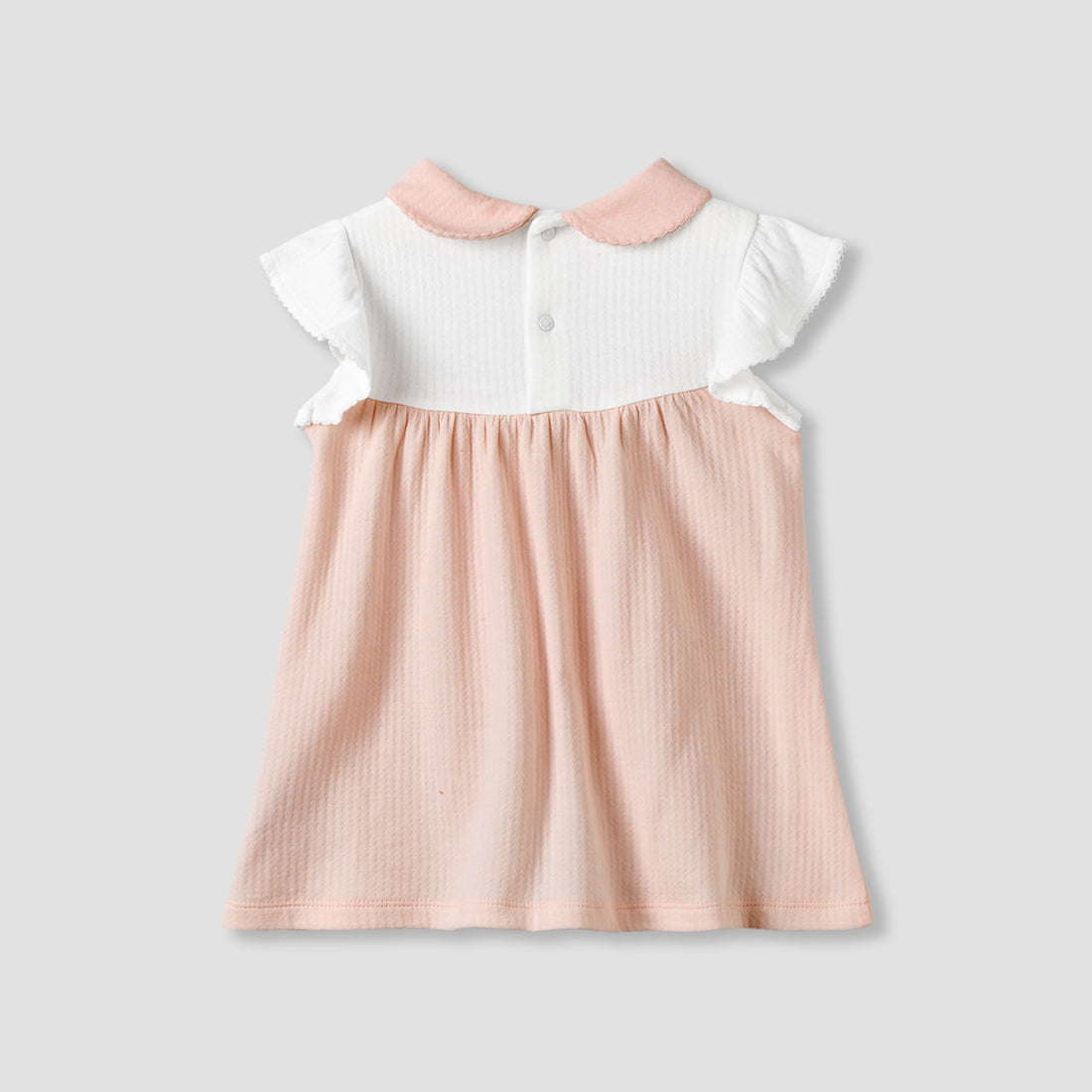 Peter Pan Collar Sleeveless Knee Length Dress with Embroidery