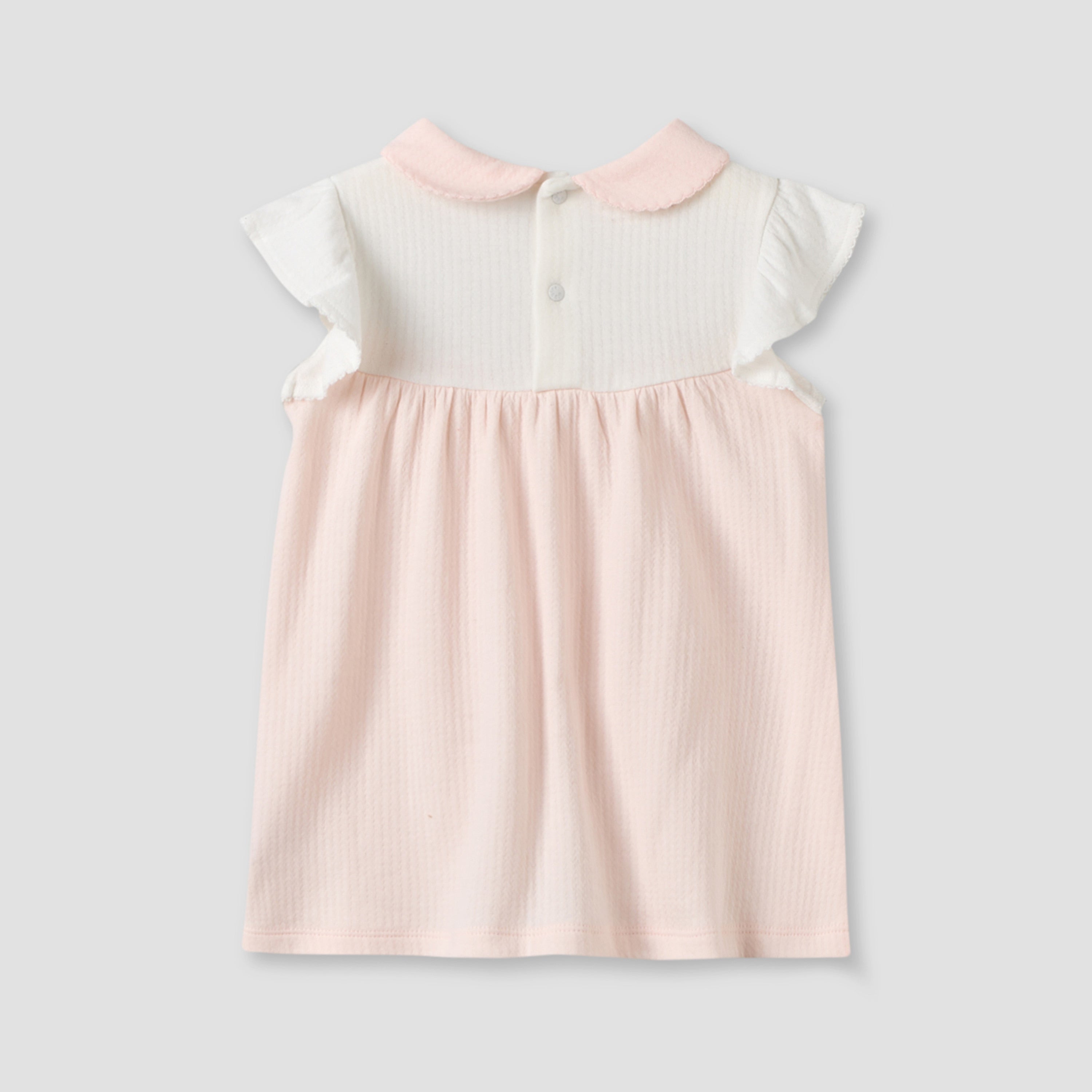 Peter Pan Collar Sleeveless Knee Length Dress with Embroidery