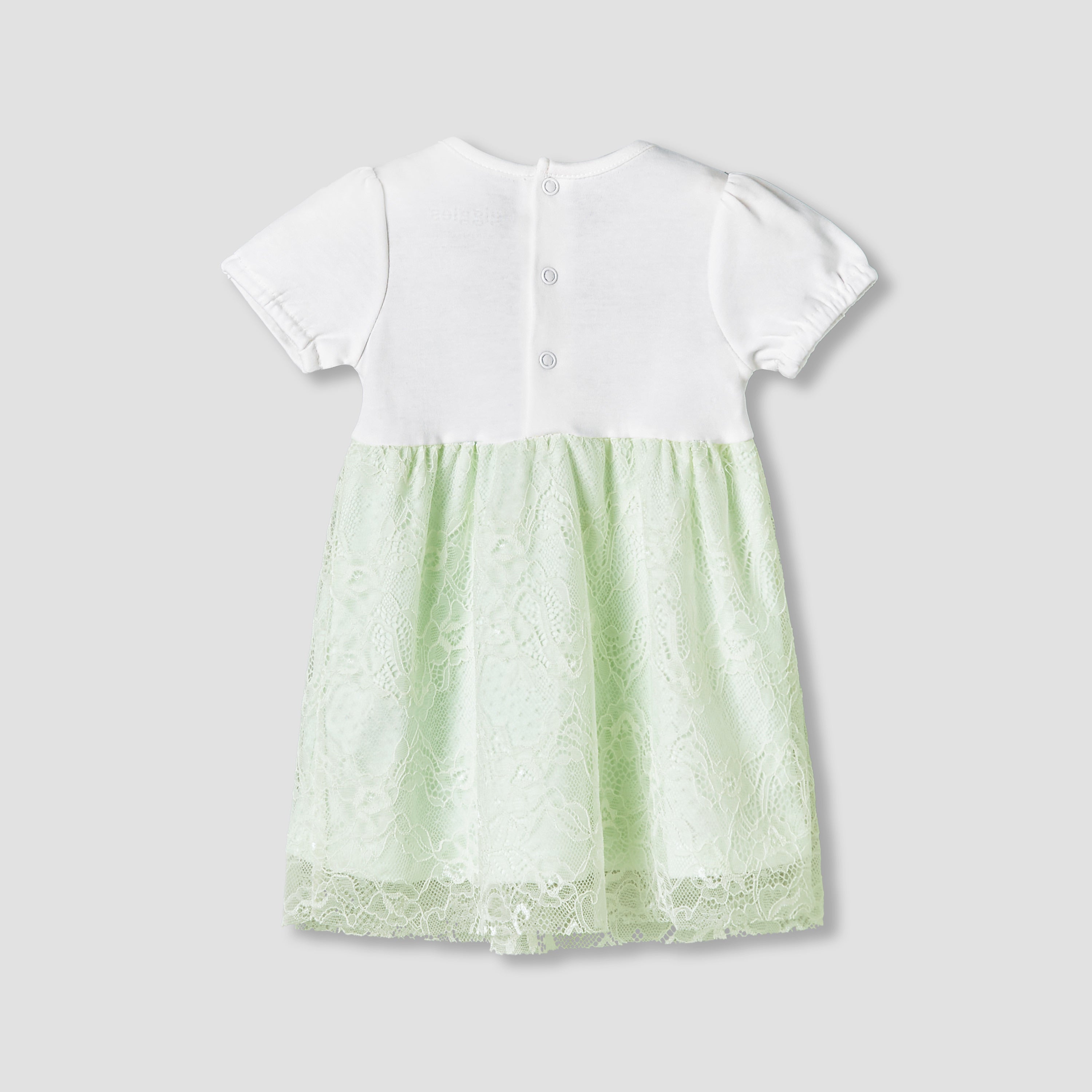 Giggles Round Neck Short Sleeves A-Line Dress with Lace Detail
