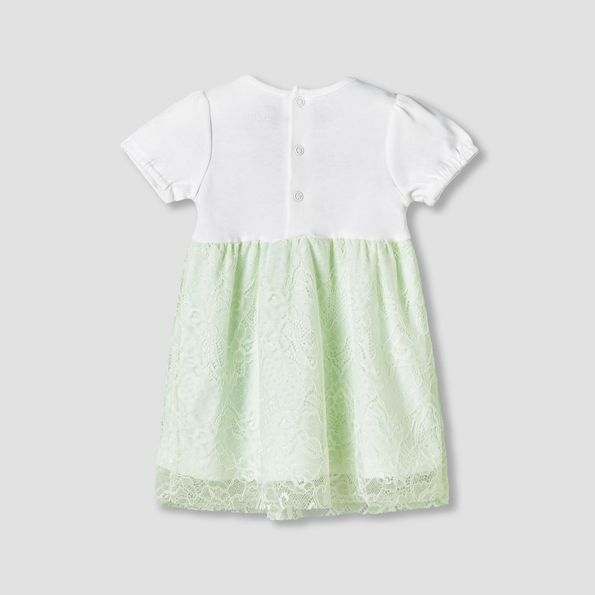 Giggles Round Neck Short Sleeves A-Line Dress with Lace Detail
