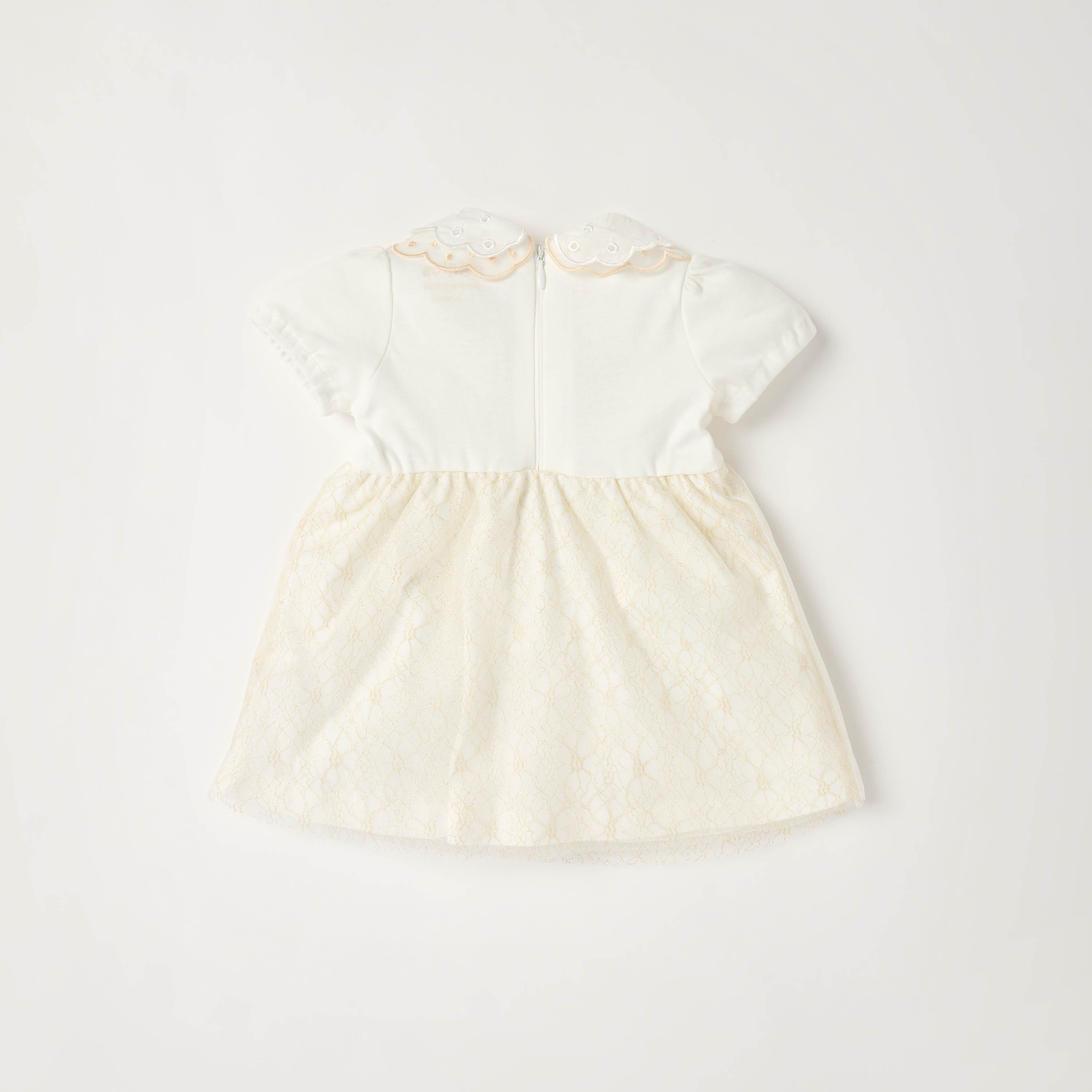 Giggles Peter Pan Collar Short Sleeves Knee Length A-line Dress with Floral Embroidary