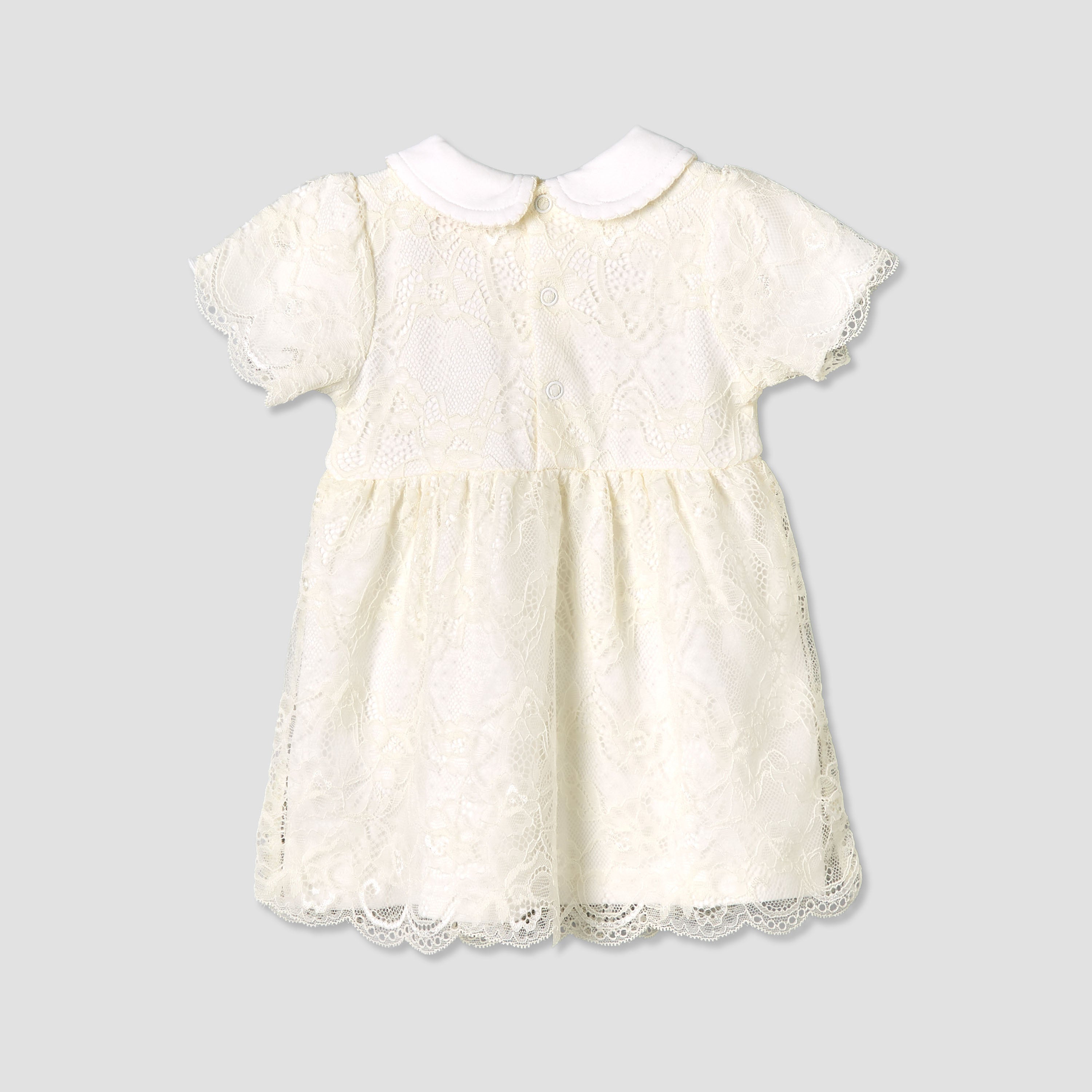 Giggles Peter Pan Collar Short Sleeves A-line Dress with Lace Detail