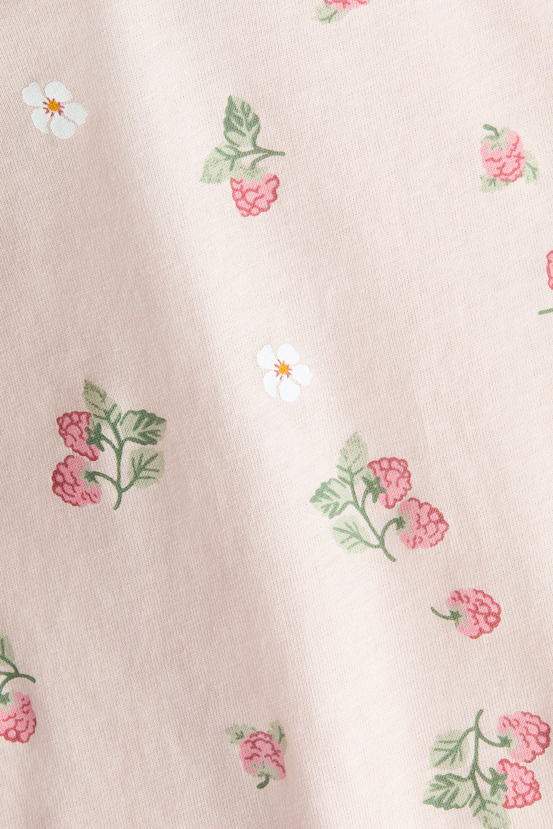 Light Dusty Pink Raspberries