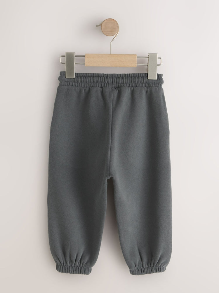Charcoal Grey Regular Fit Soft Touch Jersey Joggers (3mths-7yrs)