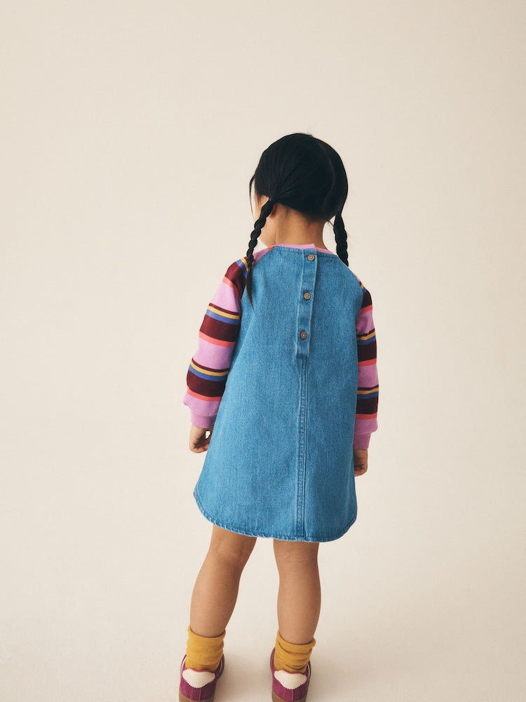 Purple Stripe Raglan Denim