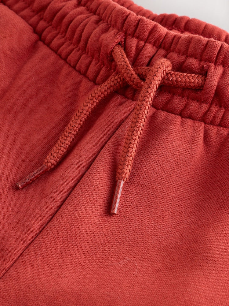 Rust Regular Fit Joggers (3-16yrs)