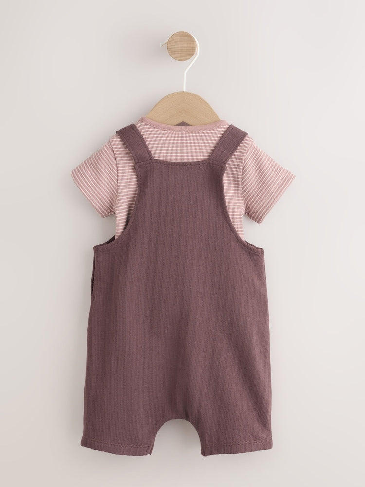 Brown Bear