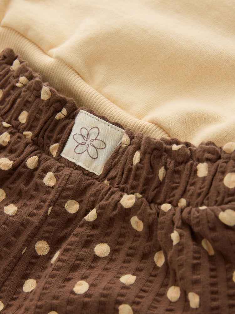 Chocolate Brown Bear Crew Neck Sweatshirt & Shorts Set (3mths-7yrs)