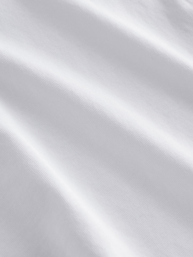 White Palm Tree