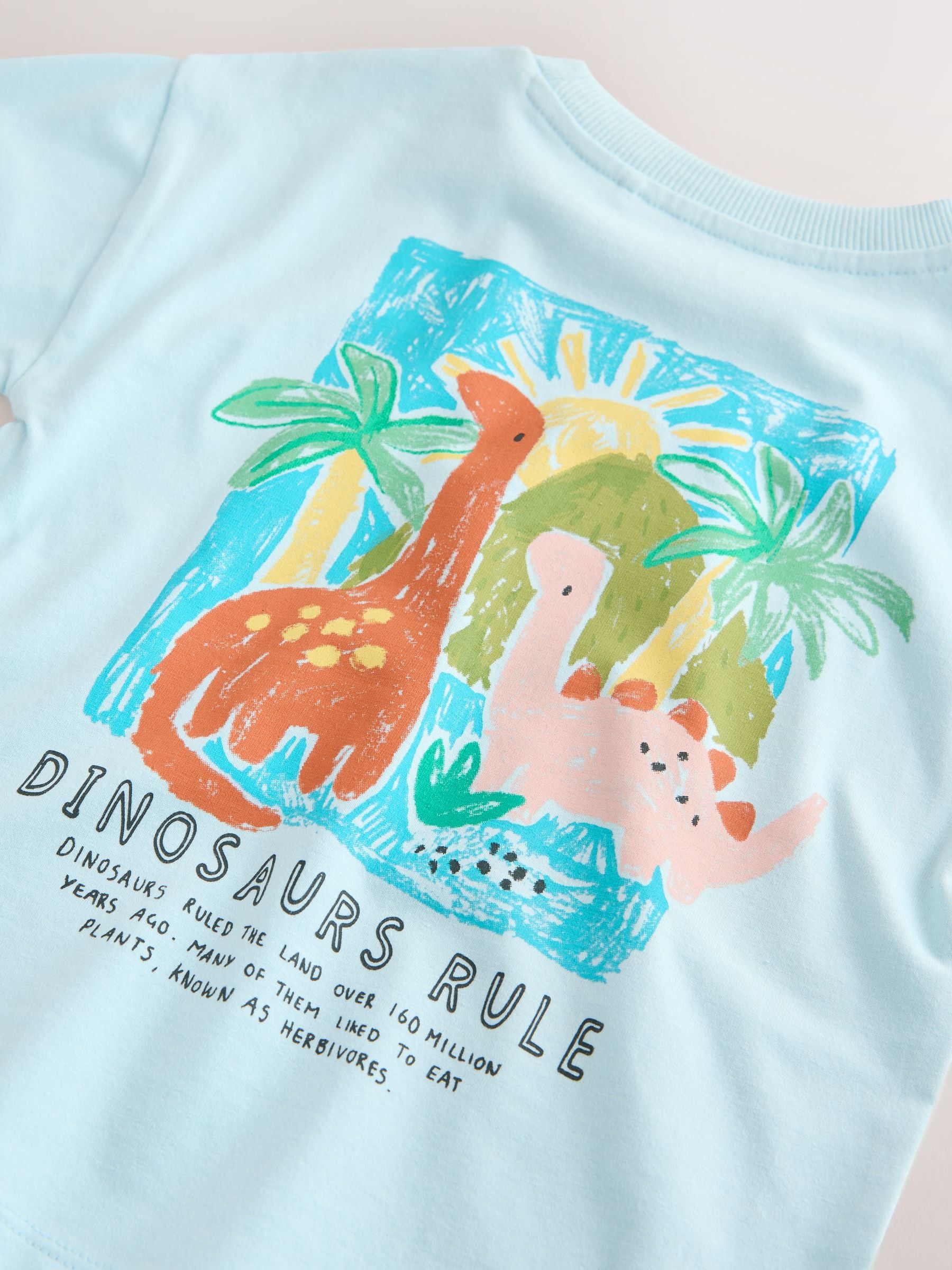 Blue Dinosaur Short Sleeve Back Print T-Shirt (3mths-7yrs) - Size 3-6 Months (62-68cm)