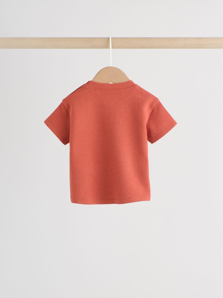 Rust Brown Baby Top and Shorts Set (0mths-2yrs)