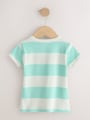 Bright Fruit Ribbed Short Sleeve Tops 5 Pack (3mths-7yrs) - Size 3-6 Months (62-68cm)