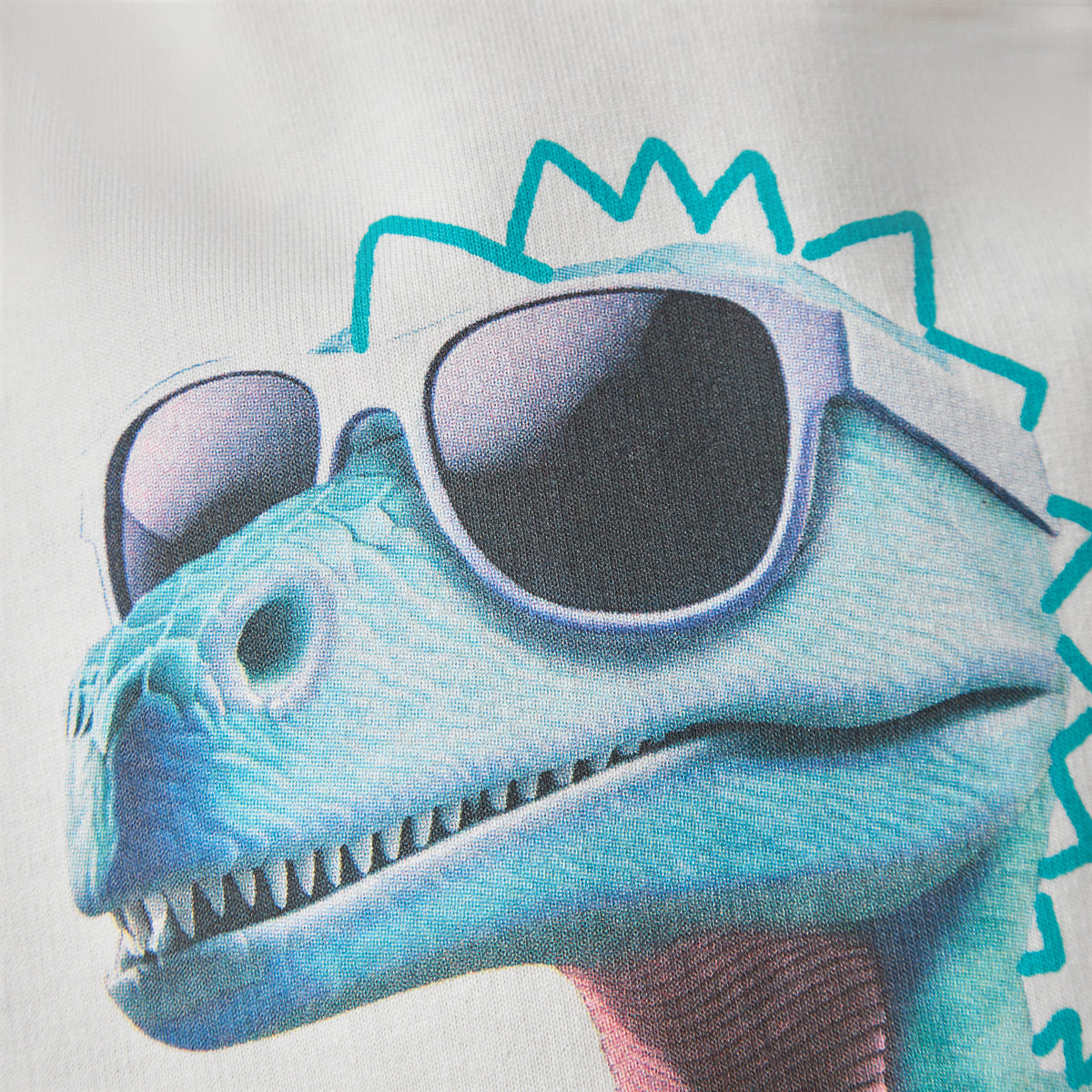 Juniors Dinosaur Print Sweatshirt with Long Sleeves