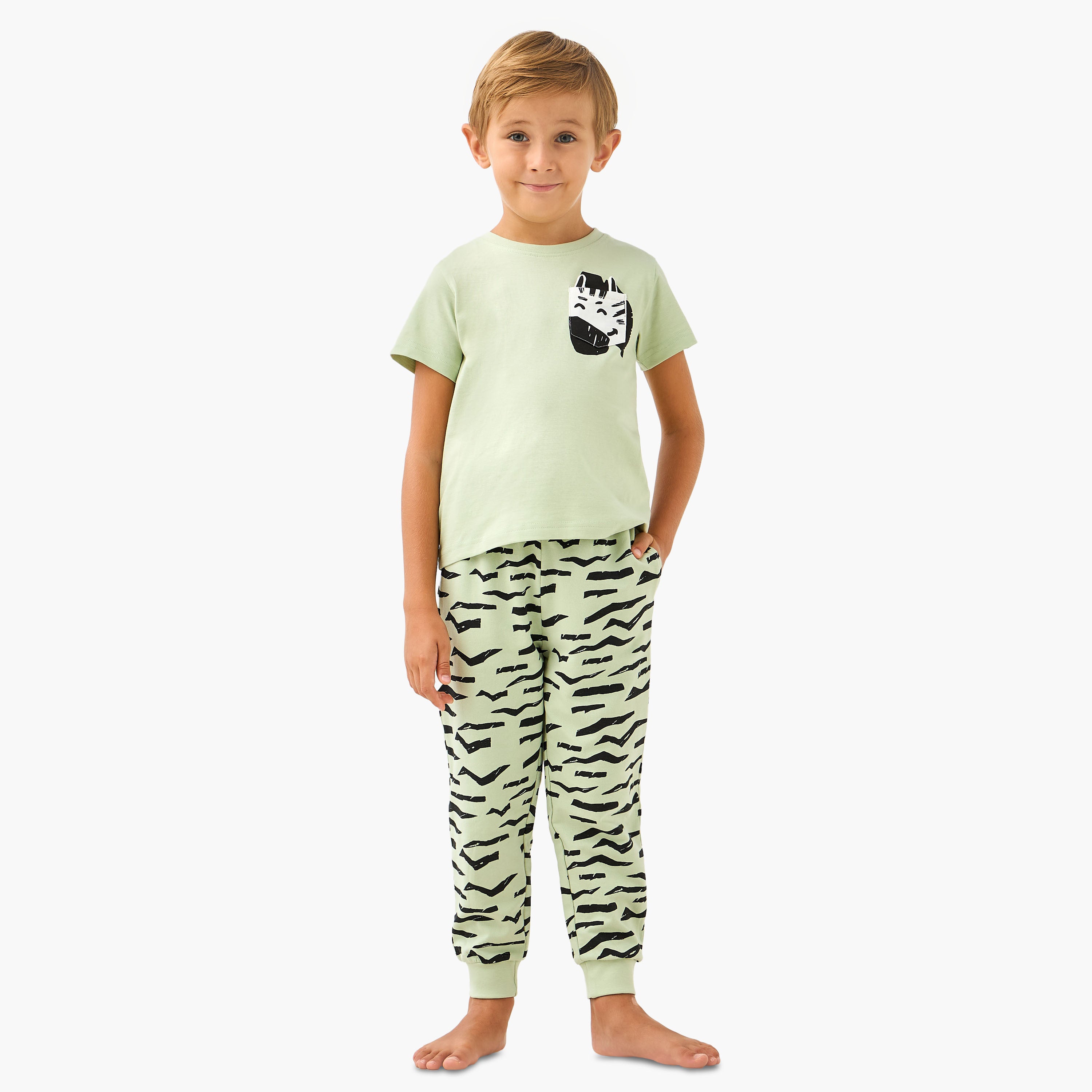 Juniors Zebra Print T-shirt and Pyjama Set - Green / 2-3 yrs