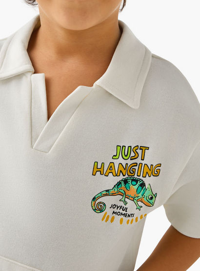 Juniors Collared Neck Short Sleeve Polo T-shirt and Shorts Set with Chameleon Print-boys-clothing-setsandcoords-image-5
