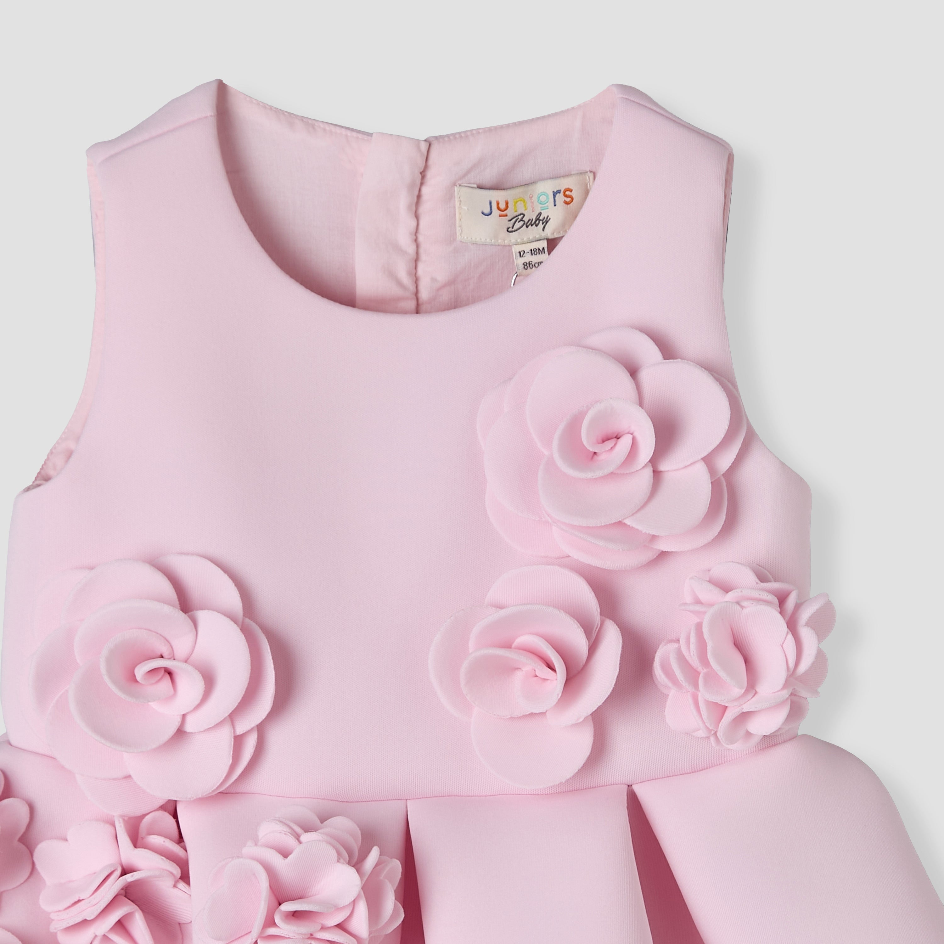 Juniors Round Neck Sleeveless Skater Dress with Floral Applique