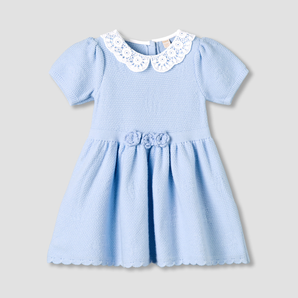 Giggles Peter Pan Collar Short Sleeve A-line Dress with Floral Applique
