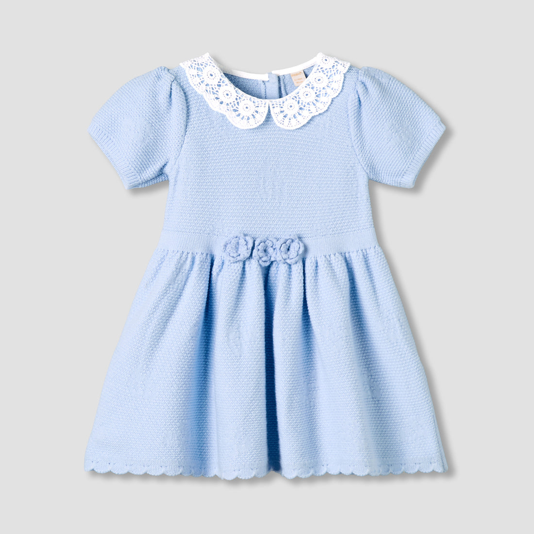 Giggles Peter Pan Collar Short Sleeve A-line Dress with Floral Applique