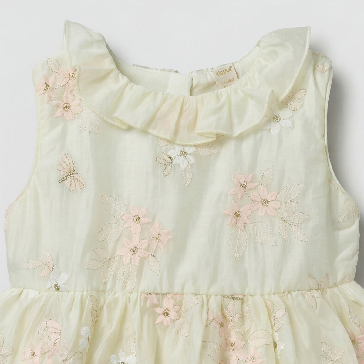 Giggles Round Neck Sleeveless Skater Dress with Floral Embroidery