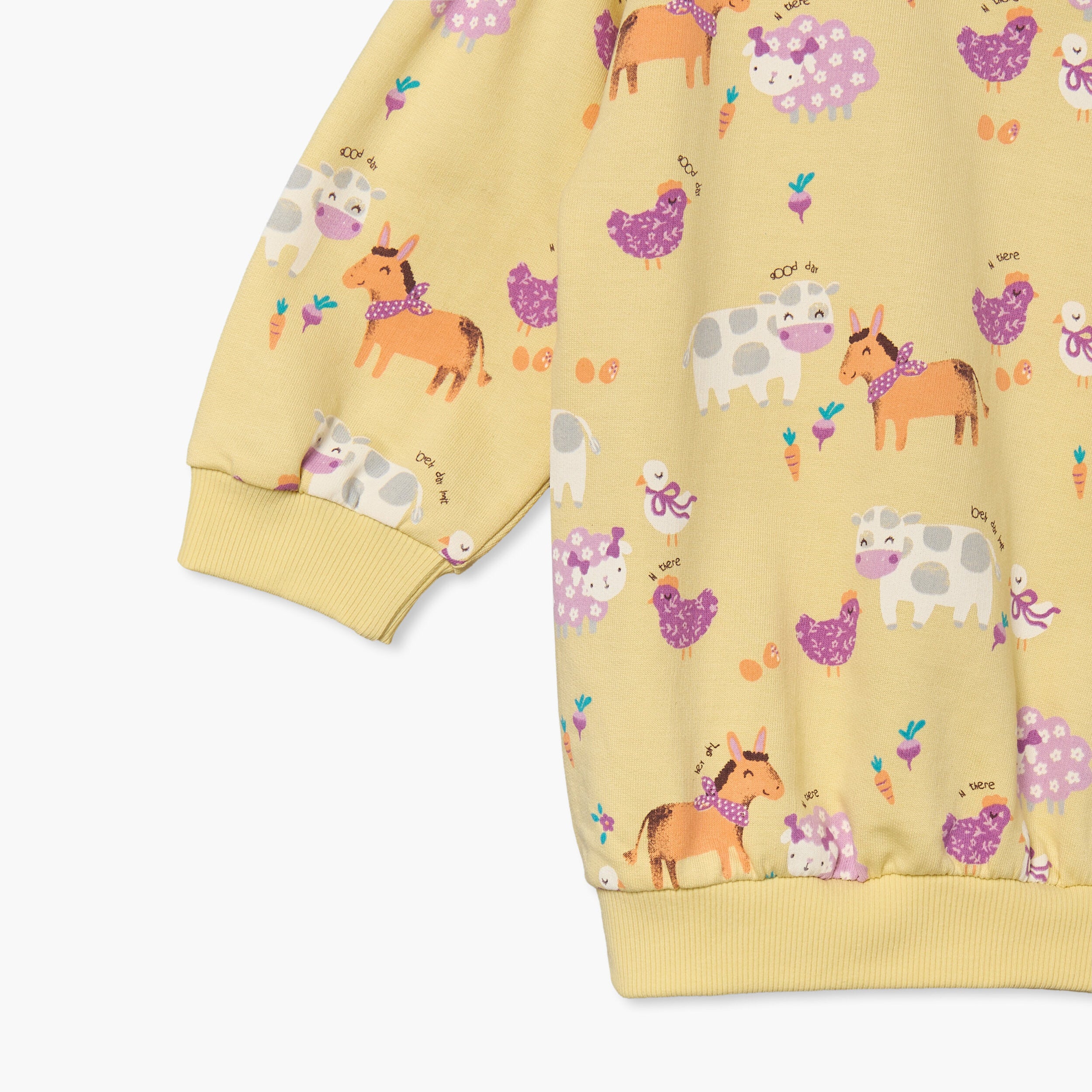 Juniors Crew Neck Long Sleeves Sweatshirt and Leggings Set with Floral Print