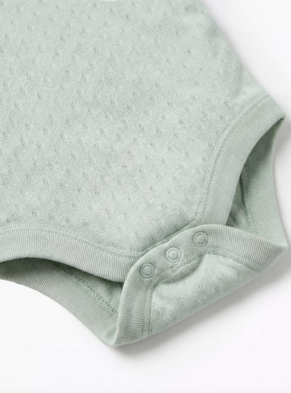 Pack of 7 Juniors Cotton Round Neck Sleeveless Bodysuit with Snap Button Closure-baby-girls-clothing-bodysuits-image-8