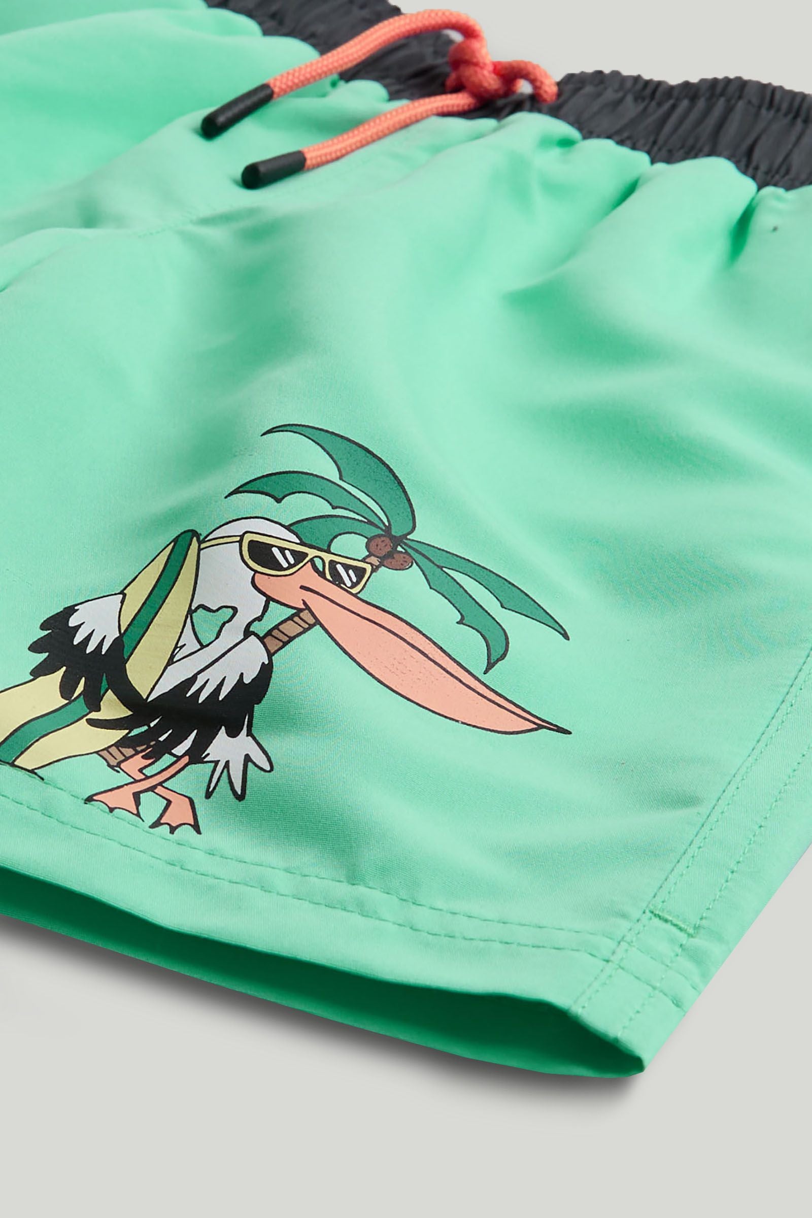 2 Pack Pelican Swim Shorts