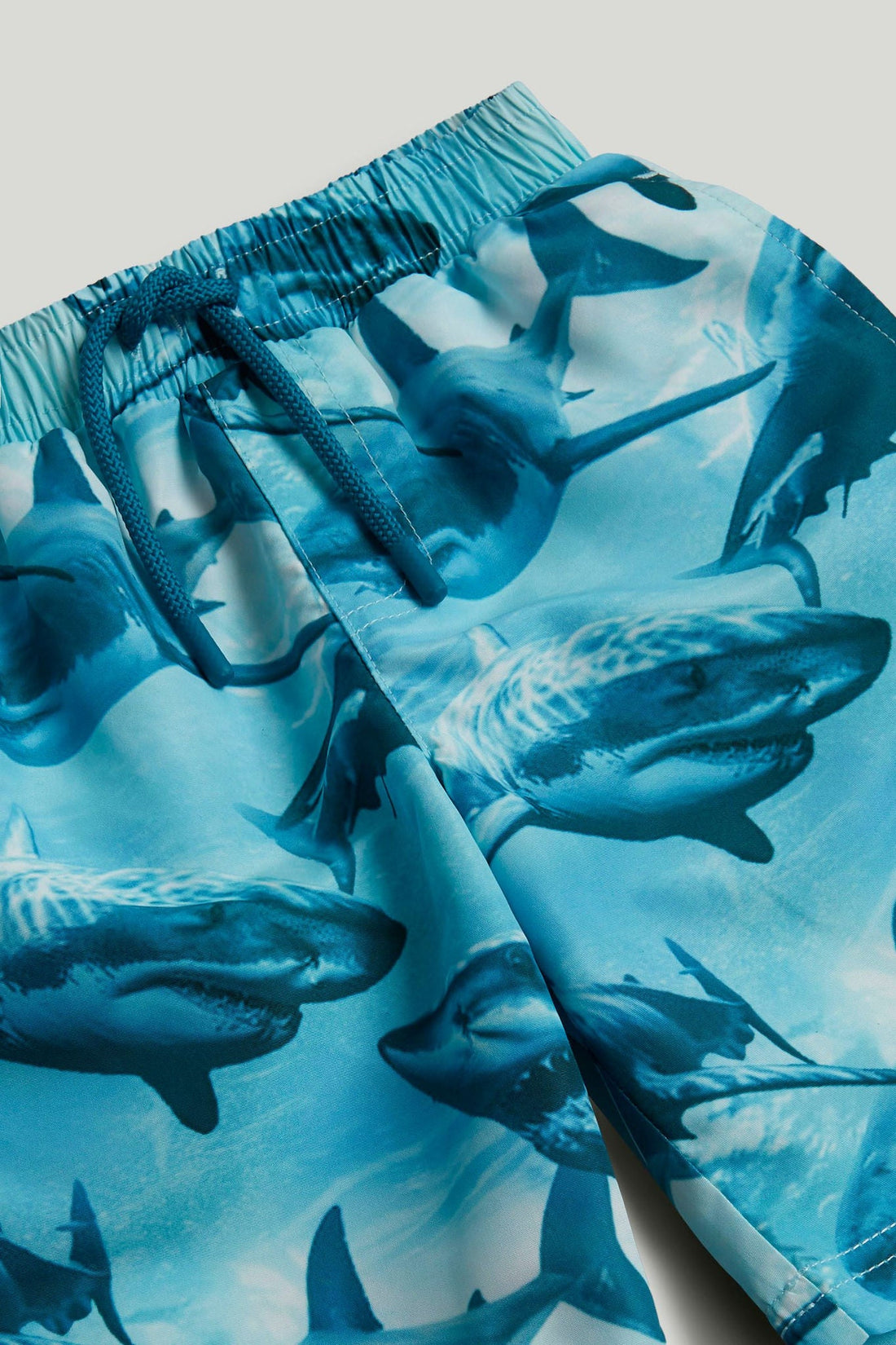 Shark Swim Shorts