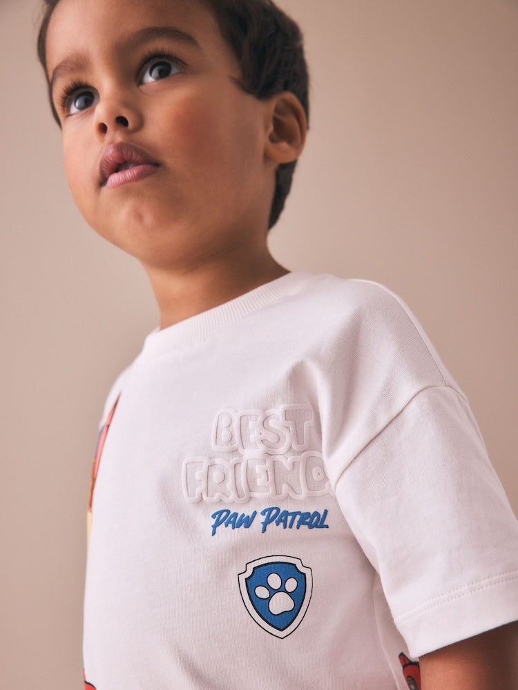 Grey Paw Patrol Short Sleeve T-Shirt (9mths-8yrs)
