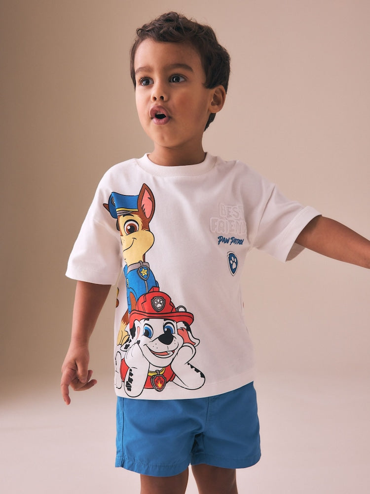 Grey Paw Patrol Short Sleeve T-Shirt (9mths-8yrs)