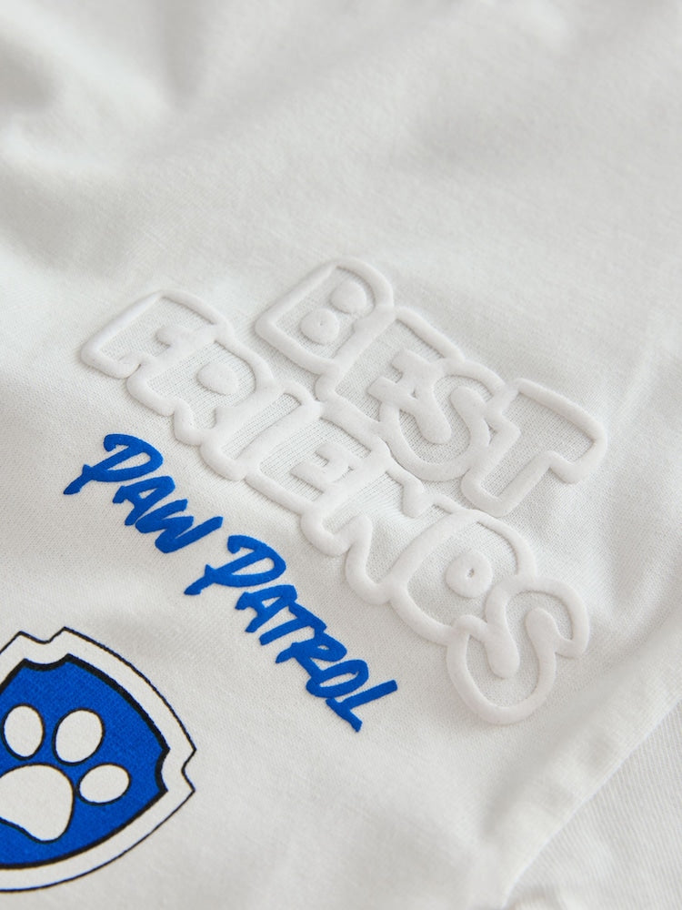 Grey Paw Patrol Short Sleeve T-Shirt (9mths-8yrs)