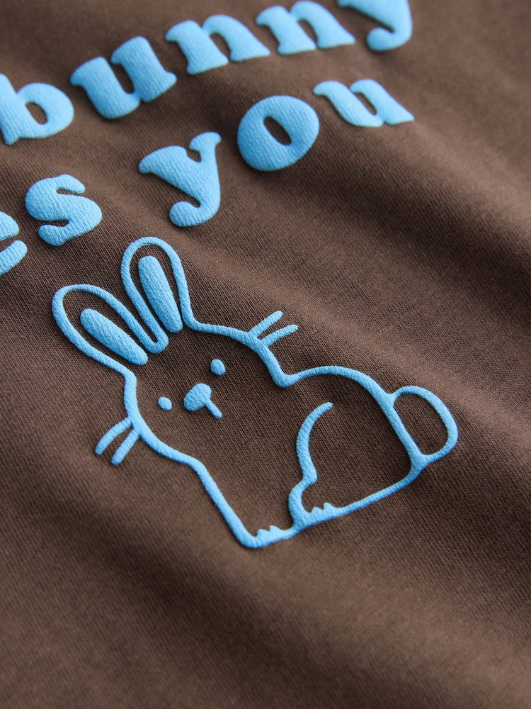 Brown Bunny Short Sleeve Easter Graphic T-Shirt (3mths-7yrs)