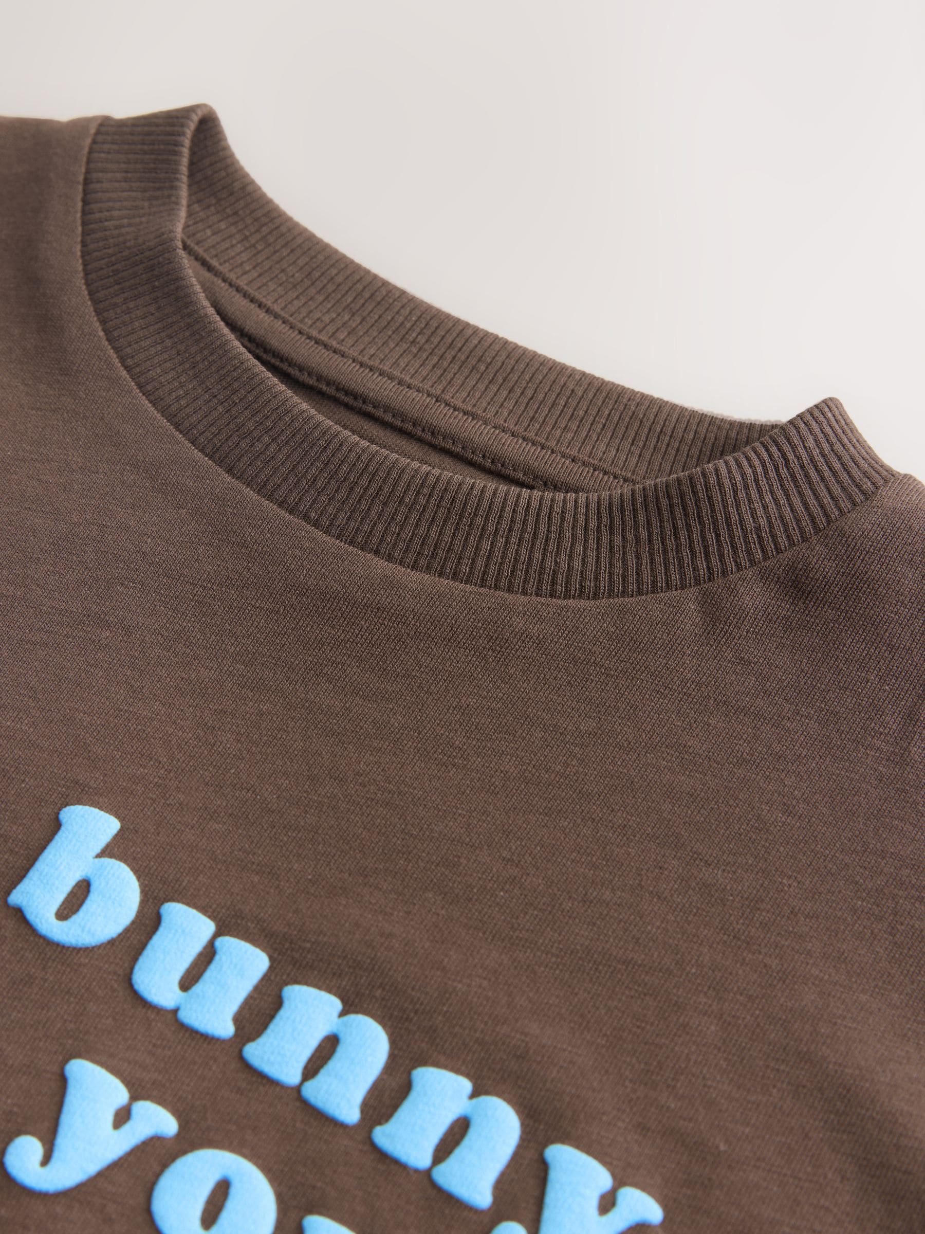 Brown Bunny Short Sleeve Easter Graphic T-Shirt (3mths-7yrs) - Size 3-6 Months (62-68cm)