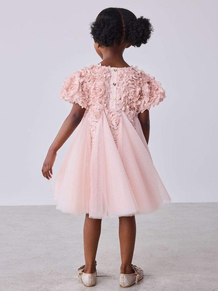 Baker by Ted Baker Pink 3D Textured Floral Mesh Godet Dress
