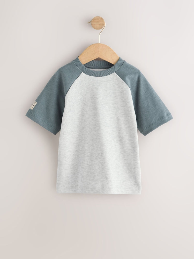 Grey Long Sleeve Raglan T-Shirts 3 Pack (3mths-7yrs)