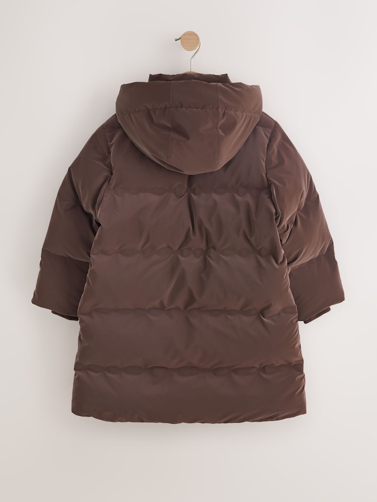 Chocolate Brown