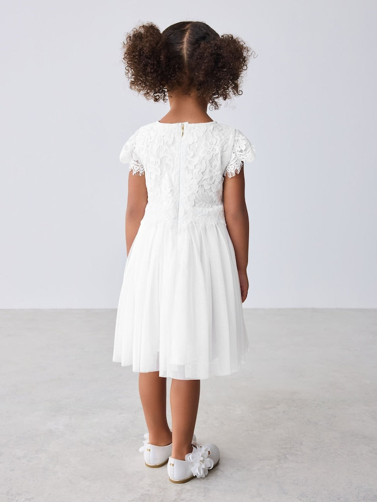 Baker by Ted Baker Lace Mesh Dress
