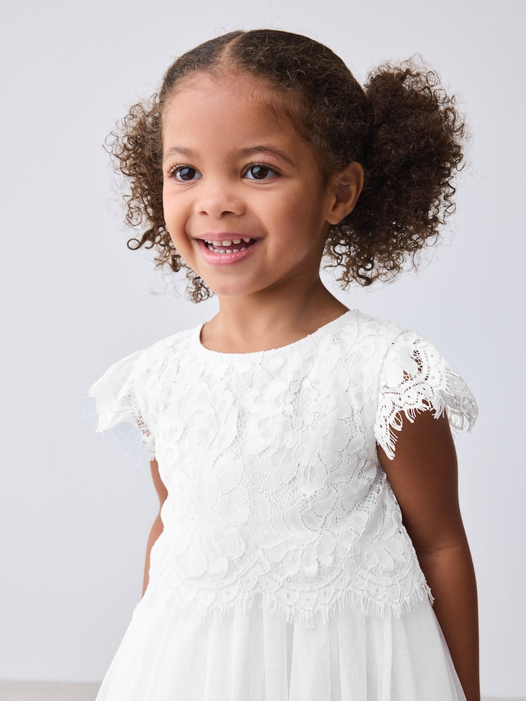 Baker by Ted Baker Lace Mesh Dress